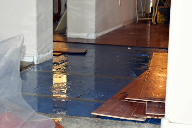 Professional Sewage Cleanup technician working in Paris, ME